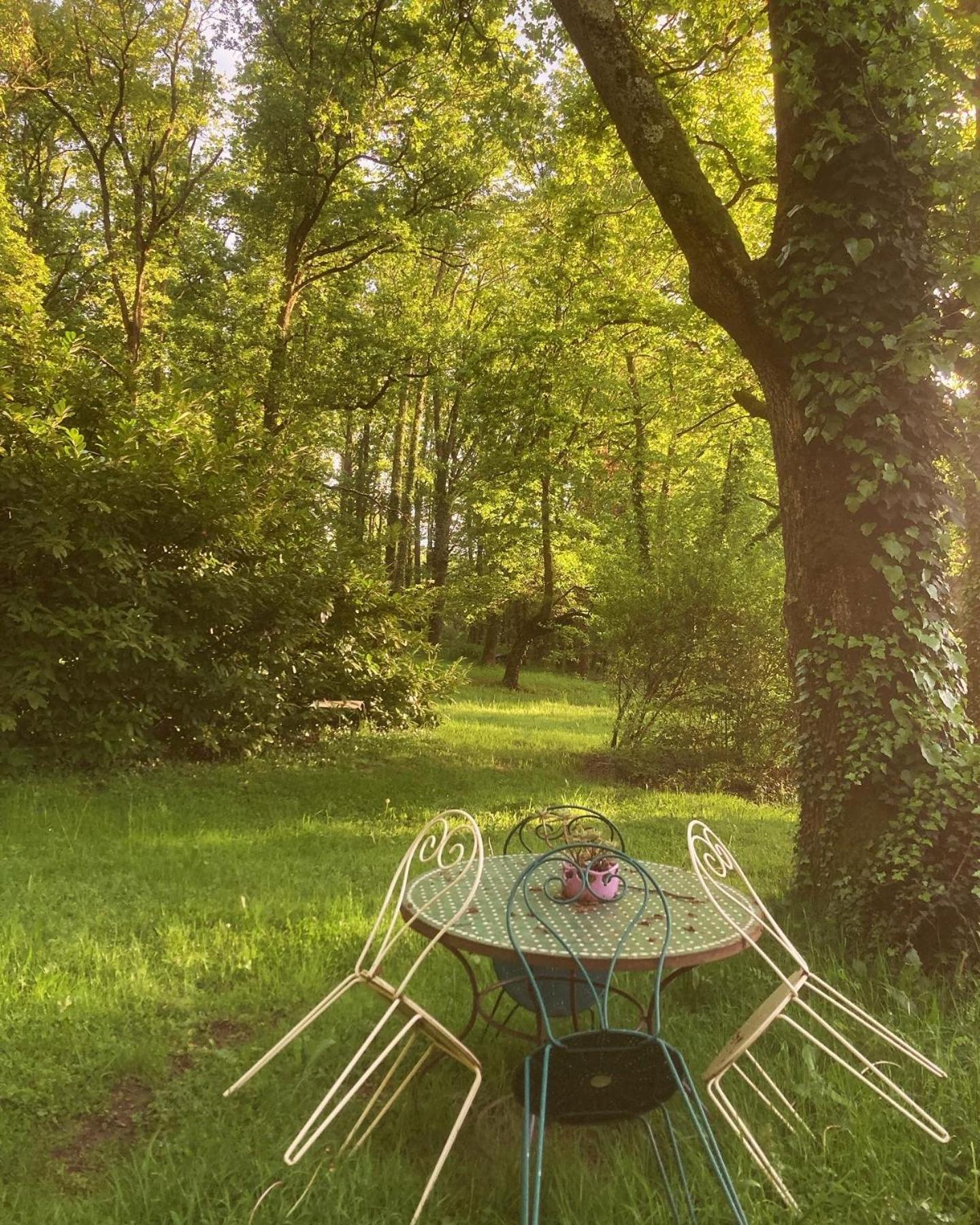 Les Bois De Ravel Chambres D'Hotes المظهر الخارجي الصورة